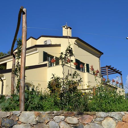 Calice Ligure Joie De Vivre B&B 외부 사진